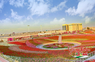 Illustration for article titled Of Course Dubai Has The Largest Flower Garden In The World